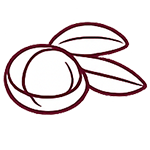 Macadamia Oil